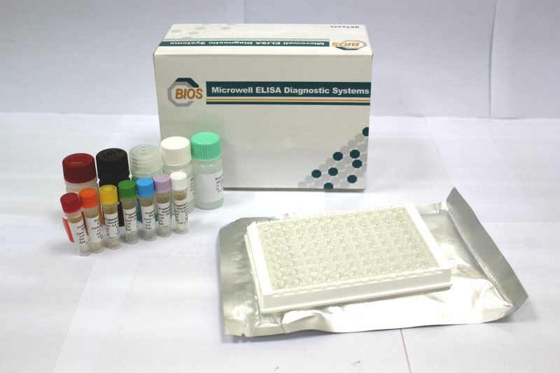 Immunoglobulin E Ige Elisa Test Kit - 96 Test