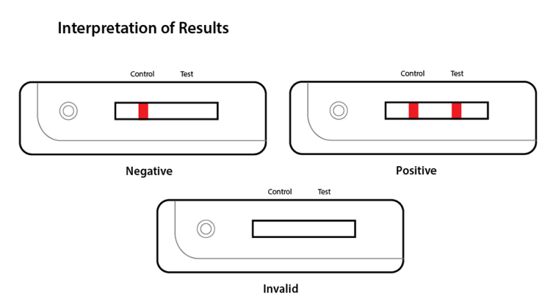 Dengue NS1 Device