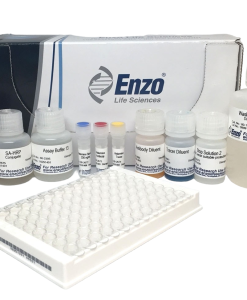 TB-IGRA Hormone Test Kit – ENZO
