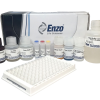 Anti-Hbc IgM Hormone Test Kit