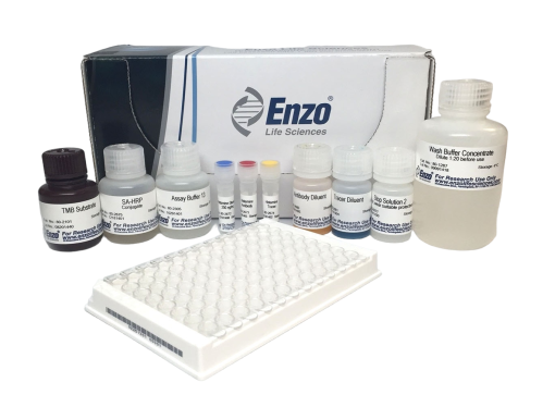 Anti-Hbc IgM Hormone Test Kit