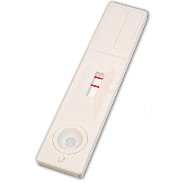Dengue IgG/IgM Rapid Test Device - Best Quality in Bangladesh