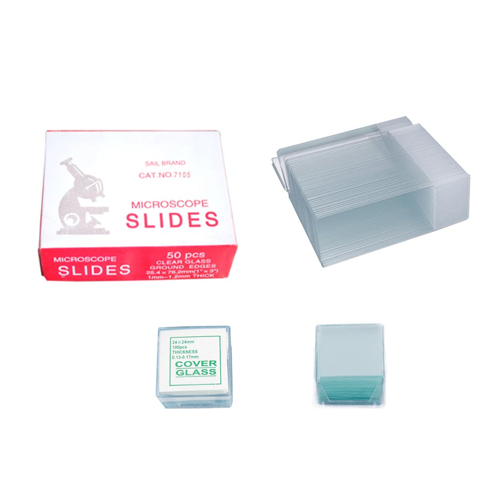 Plain Microscope Glass Slide for Laboratory - 72pcs box - Image 2