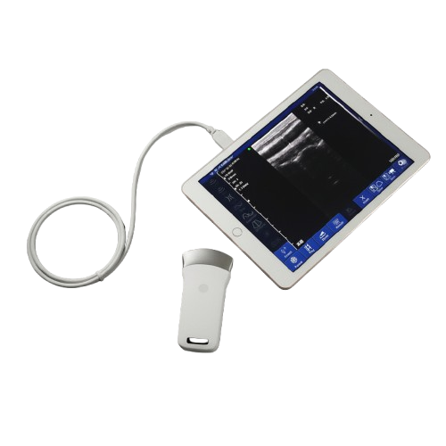 Portable Convex ultrasound Wireless Probe