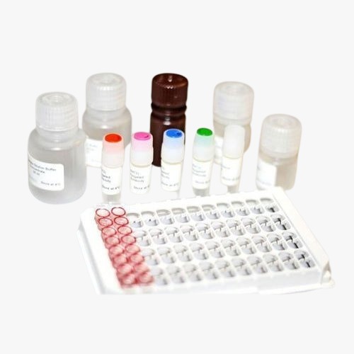 CA-153 Reagent - Jaj International