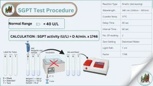 BioResearch ALT/GPT Biochemistry Reagents
