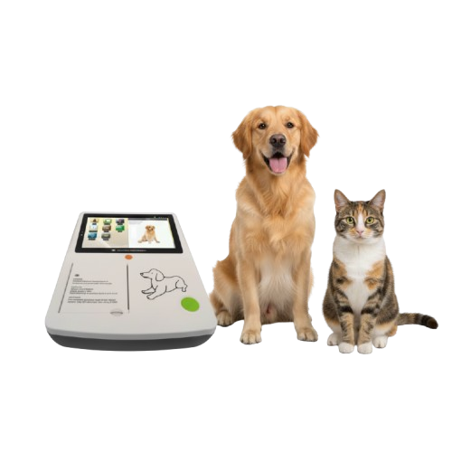Animals ECG Machine Price in Bangladesh