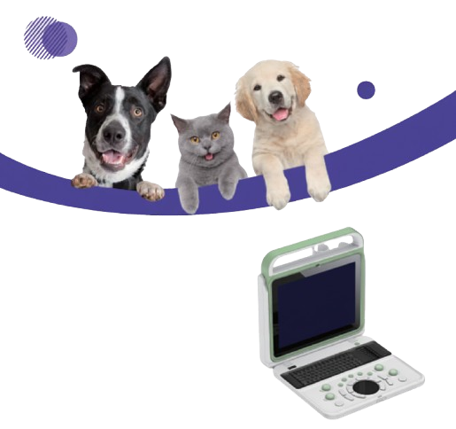 BPU50C Vet Color Doppler System Best Price in Bangladesh