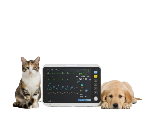 Forermed Veterinary Multi-parameter Monitor Best Price in Bangladesh