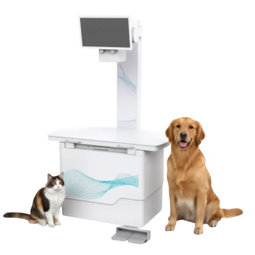 Forermed YJ-VET3300 VET DR X-Ray 32KW 400MA Price in Bangladesh