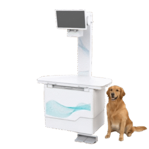 Forermed YJ-VET3300 VET DR XRAY Machine