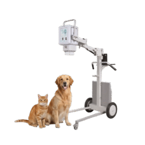 Rayman RM05-001V Veterinary X-Ray Machine