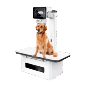 Rayman RM05 DR Portable Veterinary X-Ray Machine