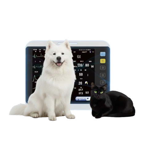 YJ-V12 Veterinary Monitor Best Price in Bangladesh