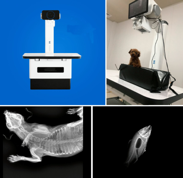 ZTOP ZDR-32 Veterinary X-ray Machine Price in Bangladesh