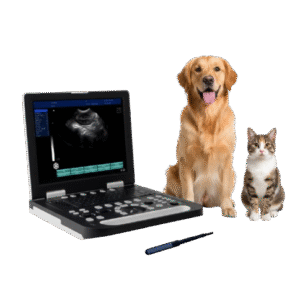 Gelt G-800 Veterinary Ultrasound Machine Best Price in Bangladesh