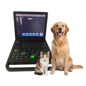 Gelt G-900 Veterinary Ultrasound Machine