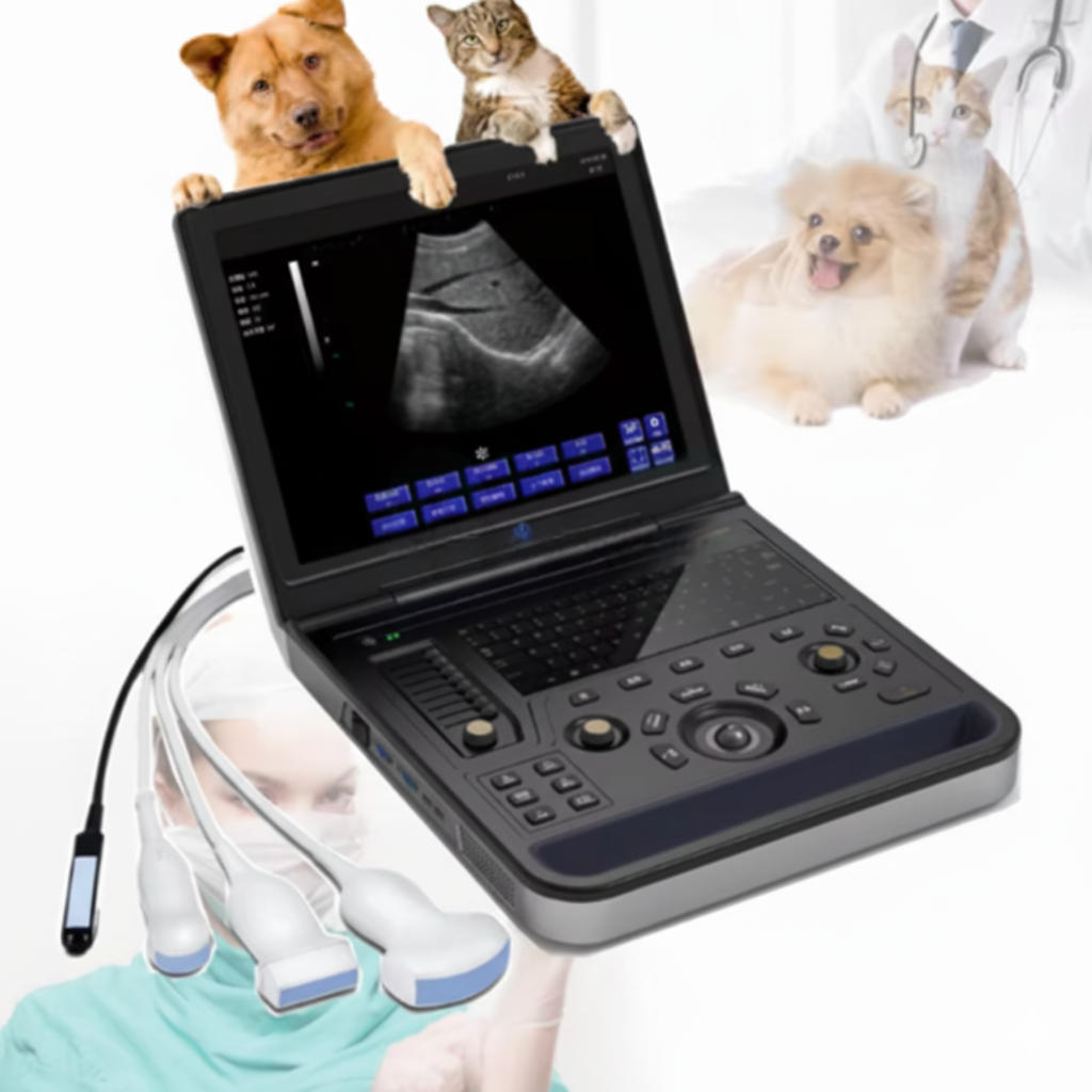 Gelt G-900 Veterinary Ultrasound Machine