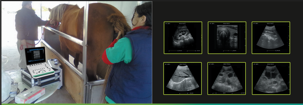 Sonostar SS-8C Ultrasound Scanner for Vet & Pet