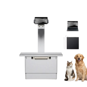 Digital Veterinary & Pet 32kW X-ray Machine