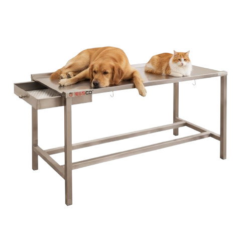 ESSCO Veterinary Hospital Examination Table