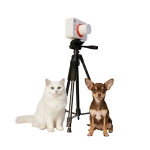 YSX-Mini2 Veterinary Digital X-ray Machine