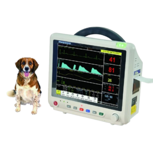 PM5000V Veterinary Monitor