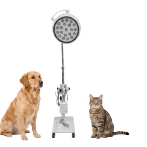 Sims Examination Light Prima 21R