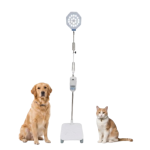 Sims Stand Light Prima-21M