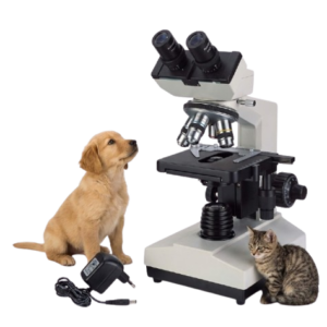 YSENMED YSXWJ107BN Veterinary Binocular Microscope