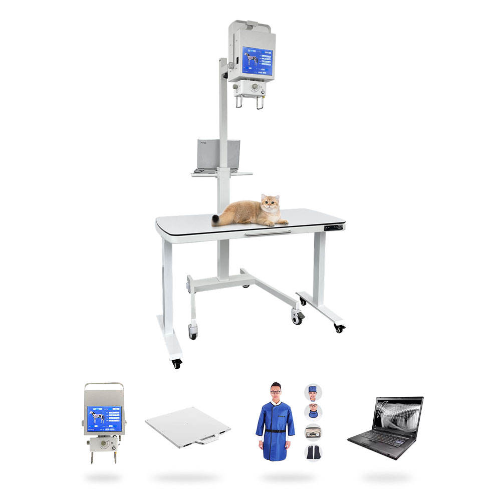 Vetfine VF-X5D 5KW Veterinary DR System