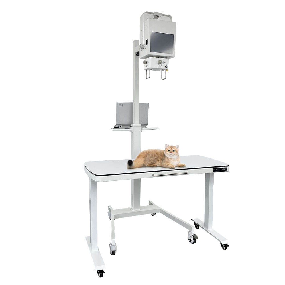 Vetfine VF-X5D 5KW Veterinary DR System