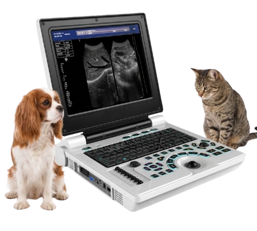 Waleeta WUB-P1 Veterinary Laptop Vet Ultrasound Scanner
