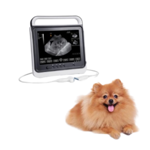 Waleeta WUB-P3 Veterinary Touch BW Ultrasound System