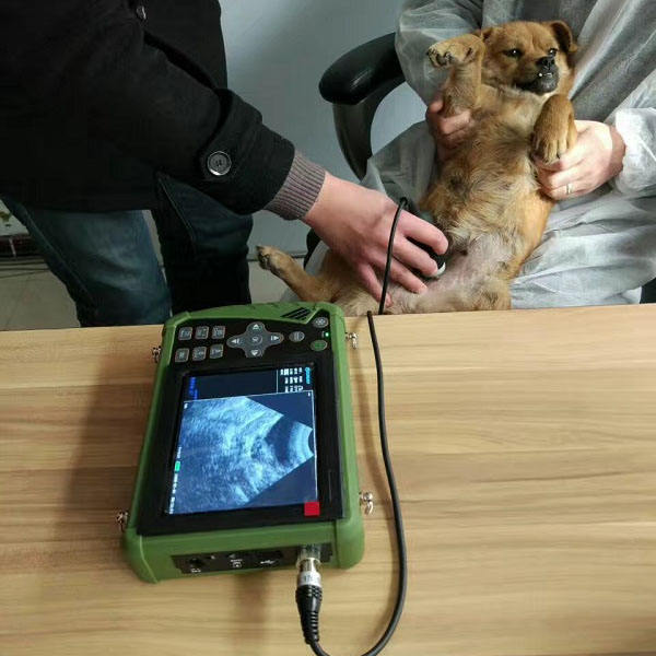 Waleeta WUB-W1 Veterinary full digital ultrasound scanner