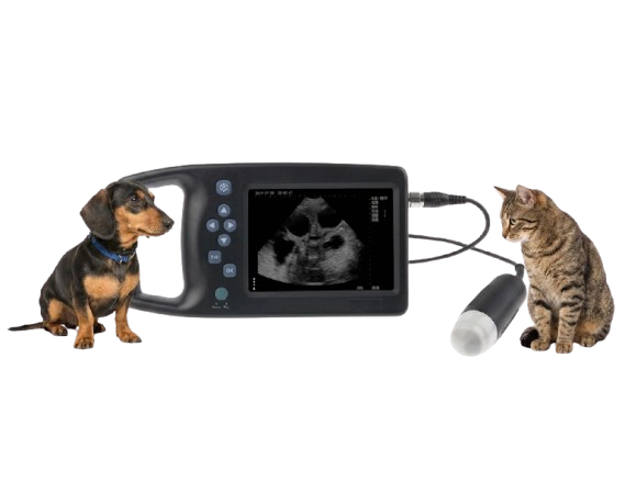 Waleeta WUB-W2 Mechanical Fan Scan Ultrasound Scanner