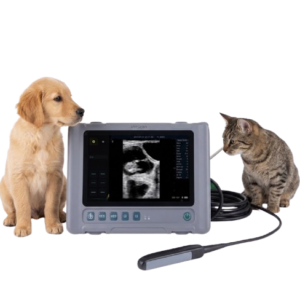 Waleeta WUB-W4 Veterinary Full Digital Ultrasound Diagnostic System