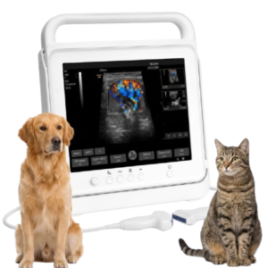 Waleeta WUC-P2 Veterinary Touch Color Doppler Ultrasound System